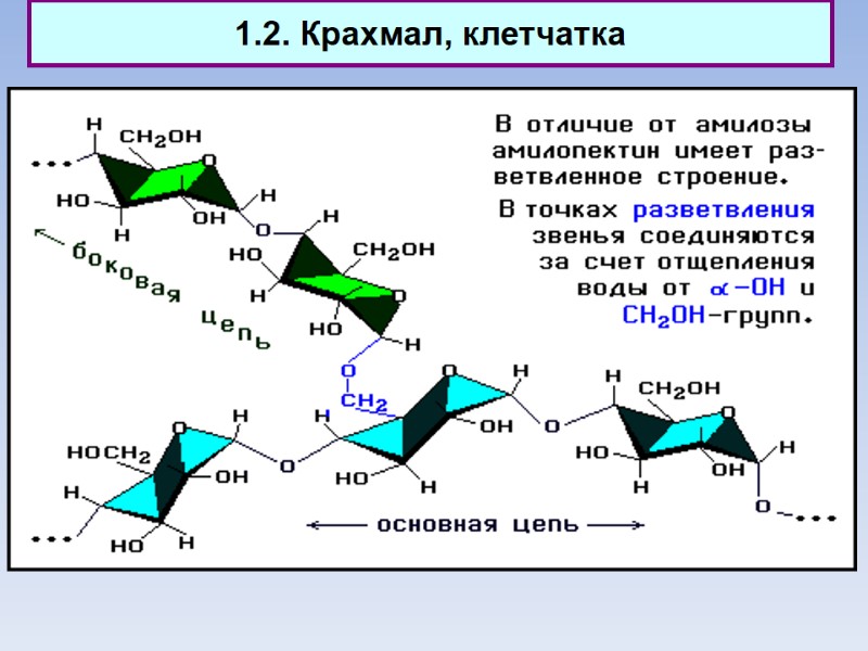 1.2. Крахмал, клетчатка